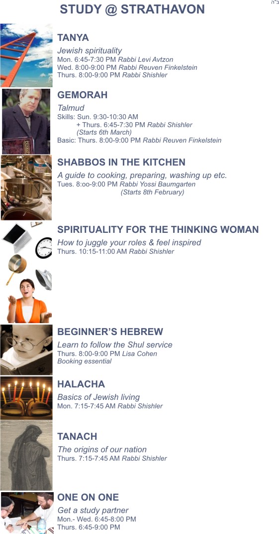 Shiurim 2011.jpg